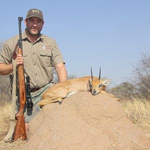 Steenbok Hunting South Africa