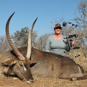 South Africa Bow Hunt Waterbuck