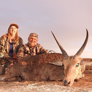 South Africa Bow Hunt Reedbuck