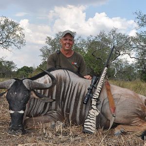 Tanzania Hunting Niassa Wildebeest