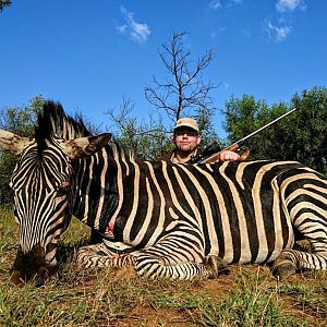 South Africa Hunting Burchell's Plain Zebra