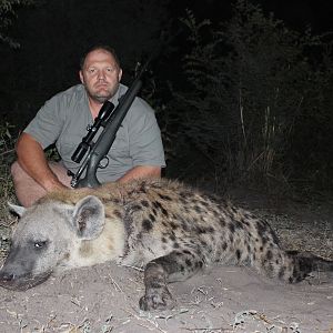 Hunting Spotted Hyena