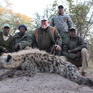 Hunting Spotted Hyena