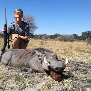 Hunting Warthog