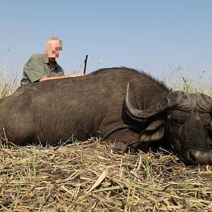 Buffalo Hunt