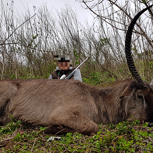 Hunting Waterbuck