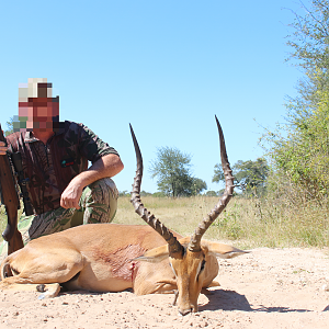 Hunting Impala