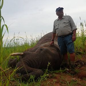 Hunting Elephant in Zimbabwe