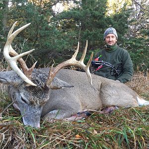 Whitetail deer