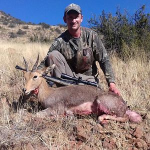 Southern Mountain Reedbuck