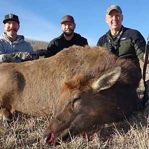 Elk Hunting