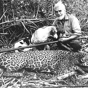 Jaguar Hunt