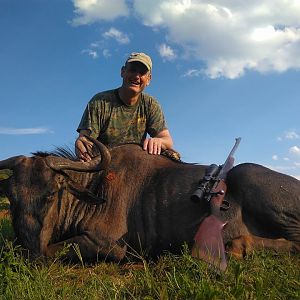 Hunting Blue Wildebeest South Africa