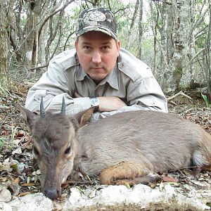 South Africa Hunt Blue Duiker