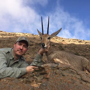 South Africa Hunting Grey Rhebok