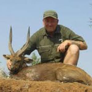 Bushbuck limpopo