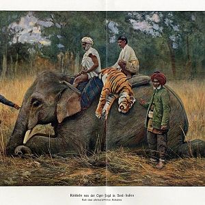 Ruckkehr von der Ciger Tiger hunt North India