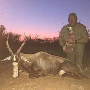 South Africa Hunting Blesbok