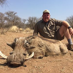 Hunting Warthog in South Africa