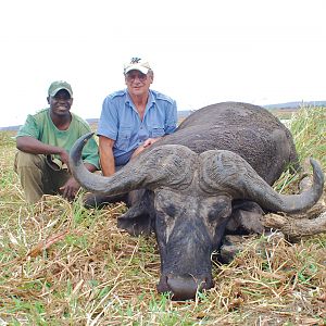 Zambeze Mozambique Hunting Buffalo