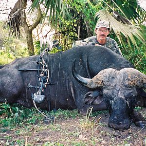 Zambeze Mozambique Bow Hunting Cape Buffalo