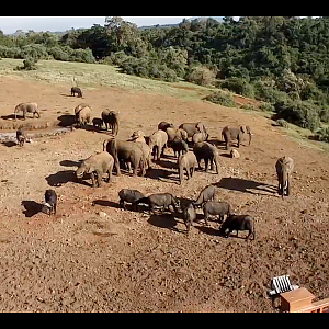 The Ark Kenya