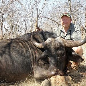 Female buffalo