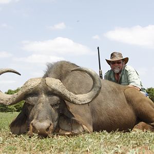 Hunting Cape Buffalo