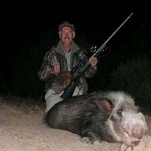 Hunting Bushpig in South Africa