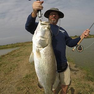 Fly rod barramundi