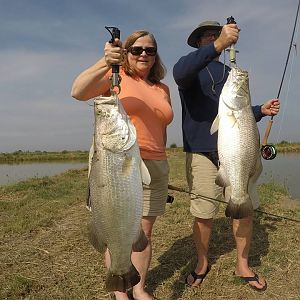 Pair of barramundi