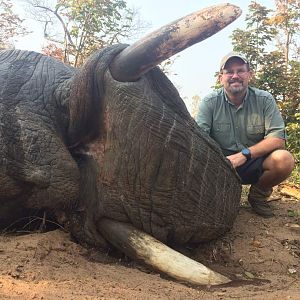 Zimbabwe Hunting Elephant