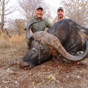 Hunting Buffalo in Zimbabwe