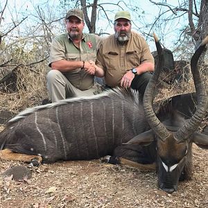 Huntng Nyala  in Zimbabwe