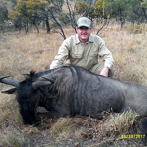 Hunt Blue Wildebeest South Africa