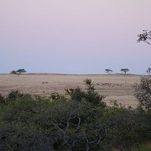 Hunting in South Africa