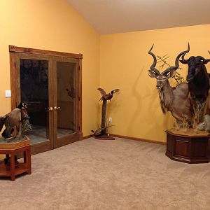 My new Trophy Room