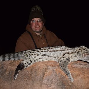 Hunt Genet Cat South Africa