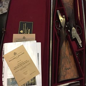 Holland & Holland pair shotguns