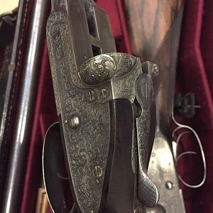 Holland & Holland pair shotguns