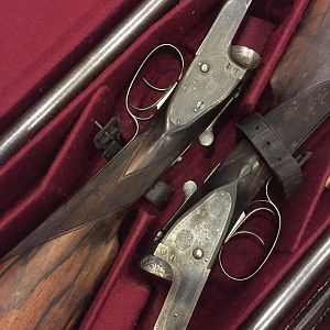 Holland & Holland pair shotguns