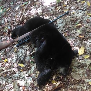 Black Bear Hunt