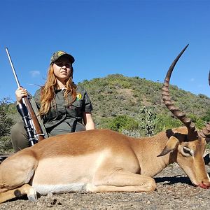 Impala Hunting in  South Africa