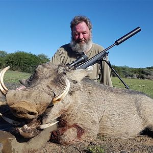 South Africa Hunting Warthog