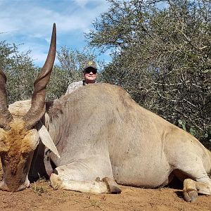 South Africa Hunting Eland