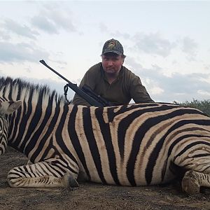 Burchell's Plain Zebra Hunting in South Africa