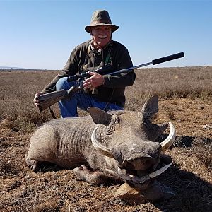 South Africa Hunting in Warthog