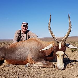 Blesbok Hunt South Africa