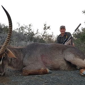 Hunting Waterbuck South Africa