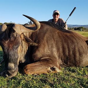 Hunting Blue Wildebeest South Africa